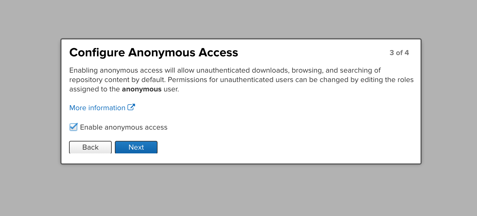 nexus-allow-anonymous-access